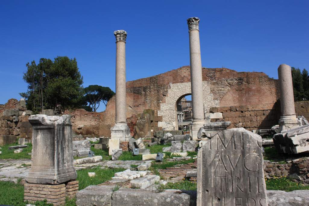 Tour classici di Roma Antica: il Colosseo, il Foro Romano e il Palatino, il Campidoglio, le Terme di Caracalla, il Parco Archeologico dell'Appia Antica...