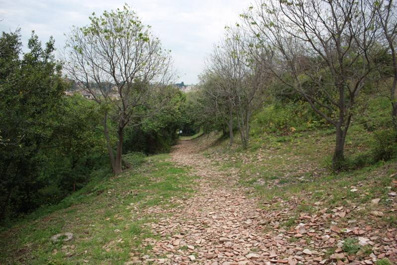 Il Monte Testaccio (con apertura straordinaria)